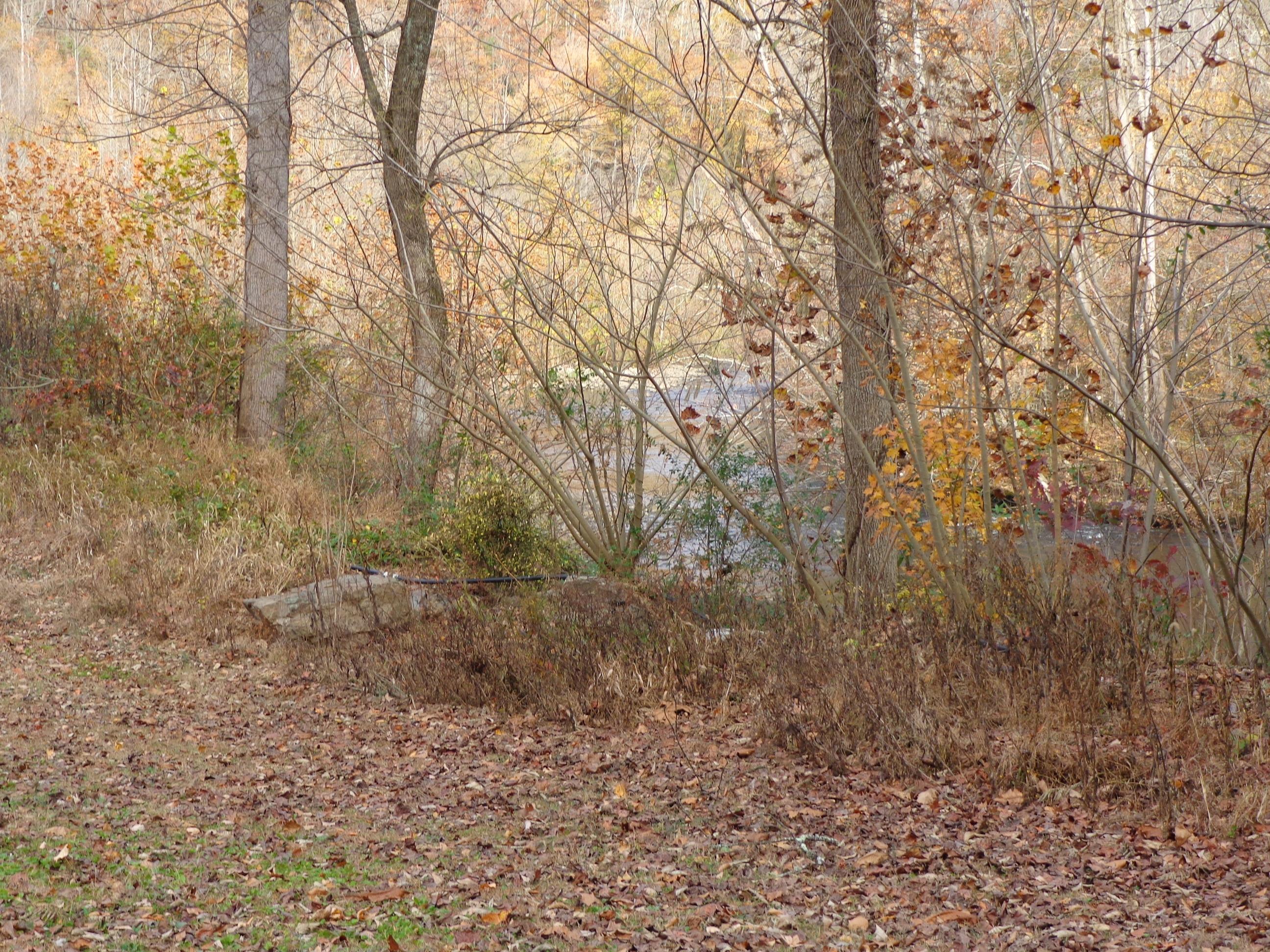 3648 Trail Hollow Road Hartford, TN 37753 - Photo 9 of 22 #553670 Trail Hollow (8)