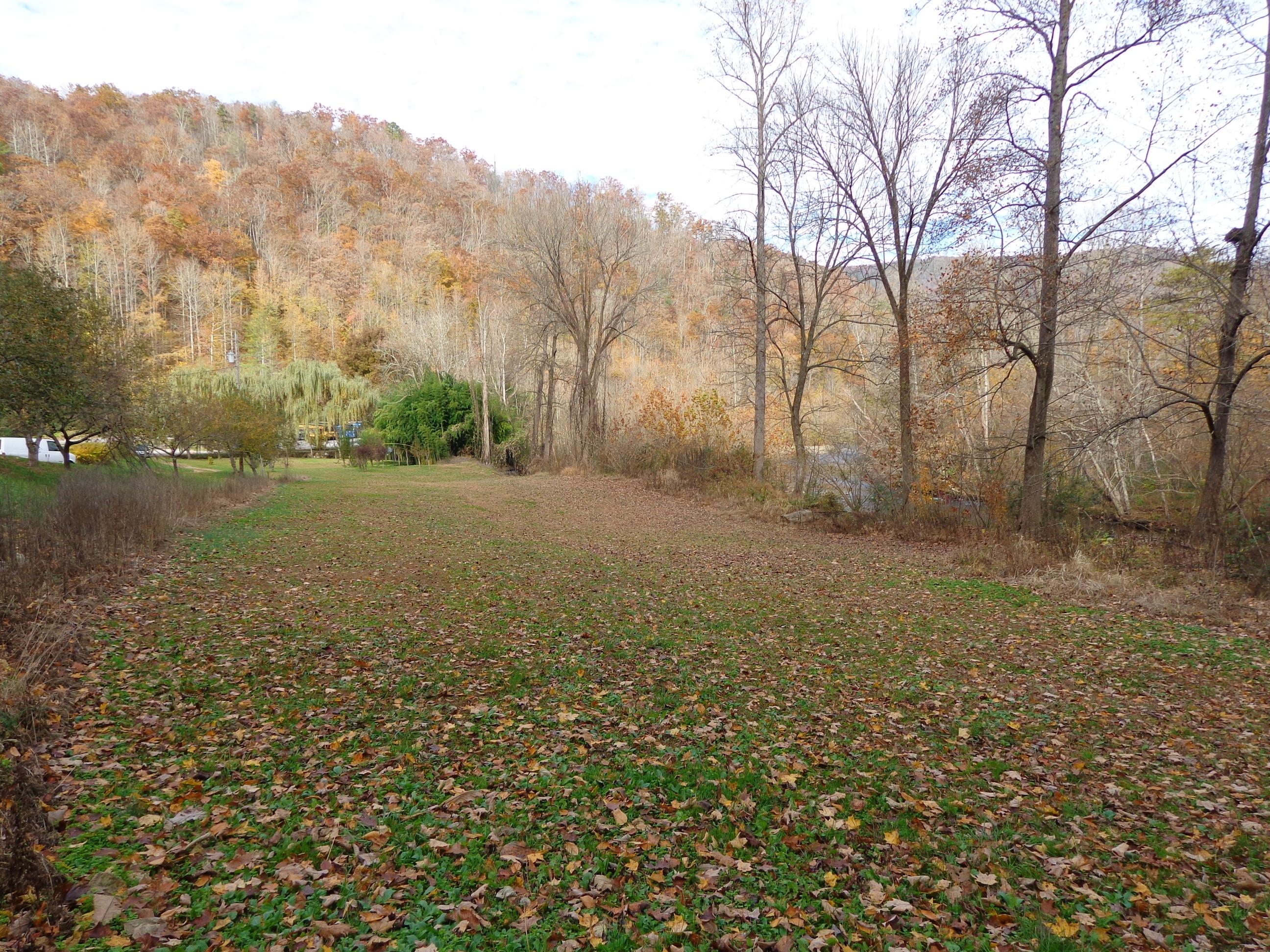 3648 Trail Hollow Road Hartford, TN 37753 - Photo 10 of 22 #553670 Trail Hollow (7)
