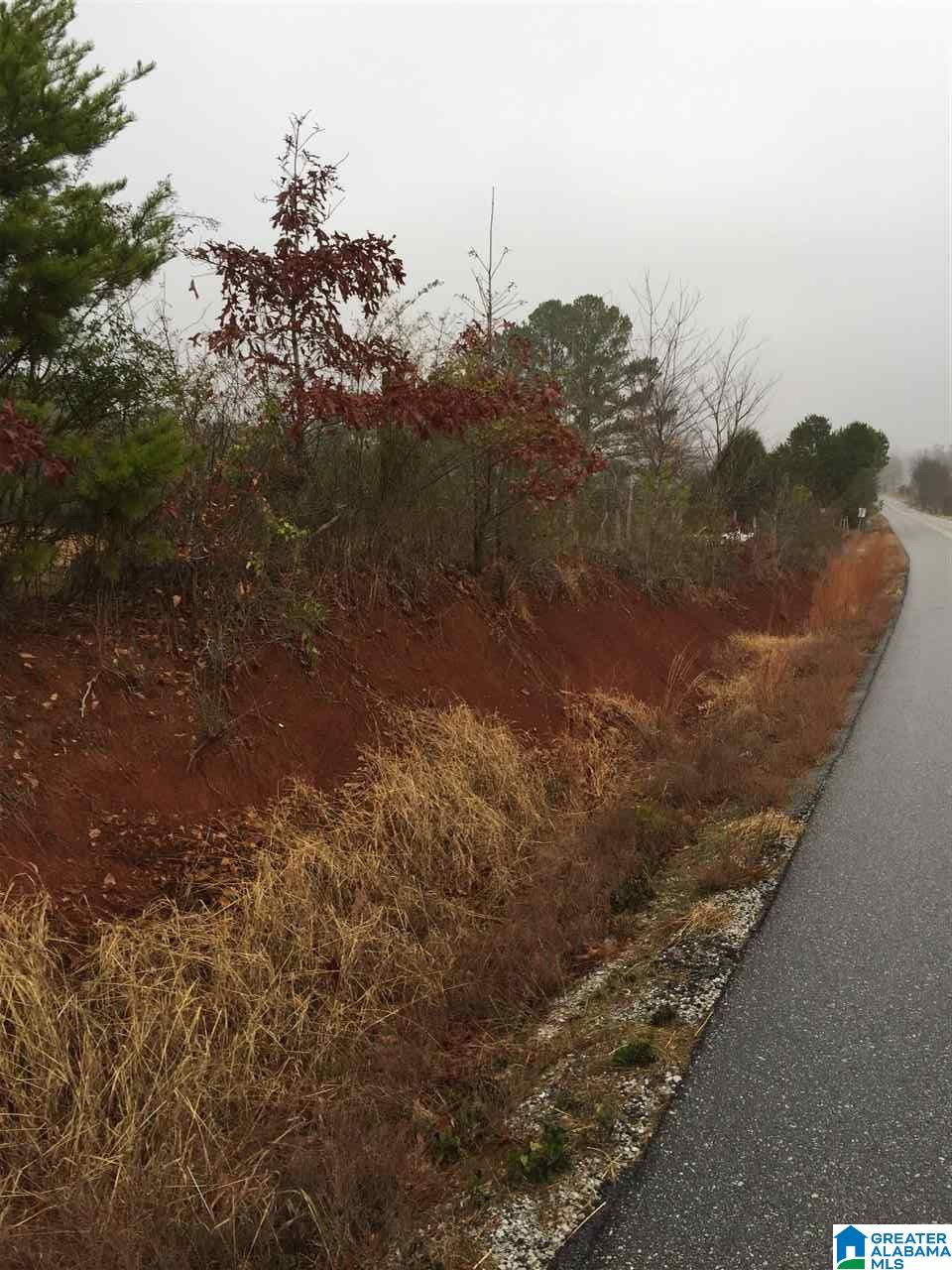 0 Hollingsworth Road Jacksonville, AL 36265 - Photo 4 of 7
