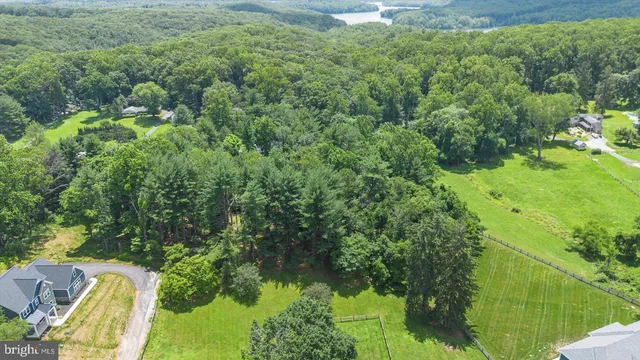 a view of a forest with a houses