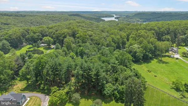 a view of a lush green forest with trees and some houses