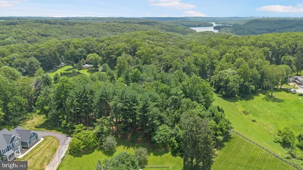 a view of a green yard with an trees