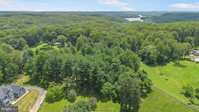 a view of a green yard with an trees