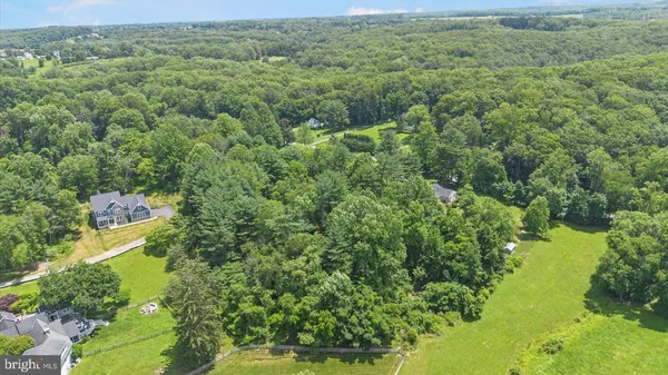 a view of a garden with plants