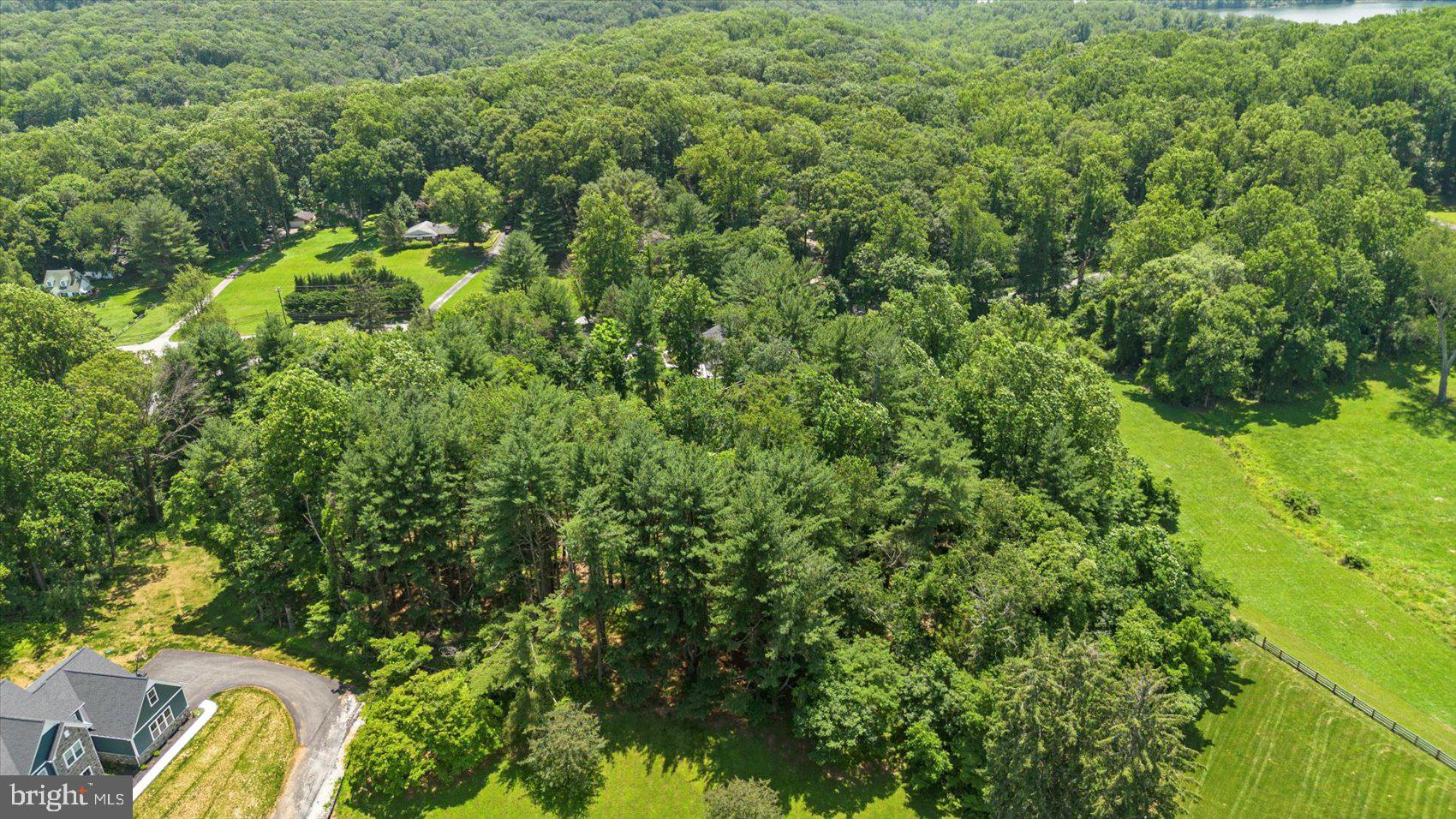 Lot 3 Manda Mill Lane Phoenix, MD 21131 - Photo 3 of 20