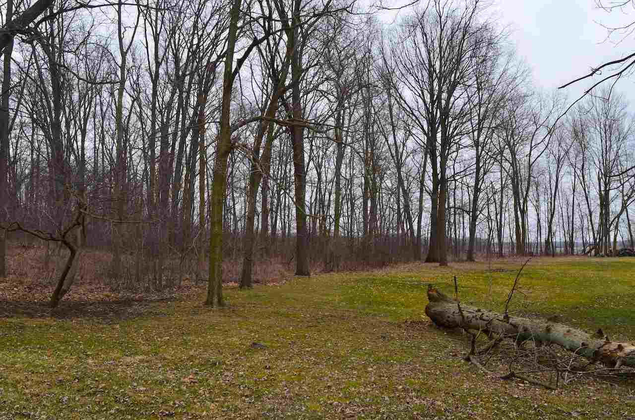 12815 North Shore Road Fort Wayne, IN 46818 - Photo 13 of 14