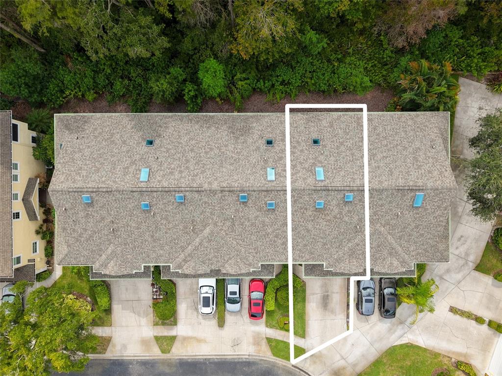 3452 Primrose Way Palm Harbor, FL 34683 - Photo 2 of 48