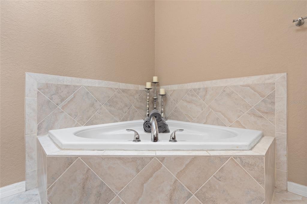 3452 Primrose Way Palm Harbor, FL 34683 - Photo 24 of 48