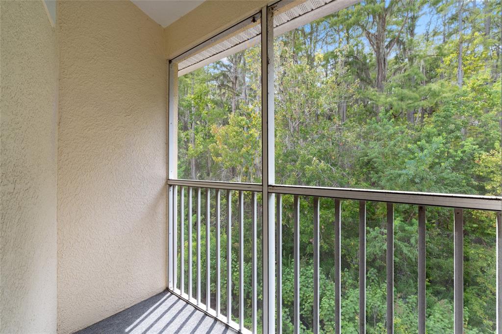 3452 Primrose Way Palm Harbor, FL 34683 - Photo 28 of 48