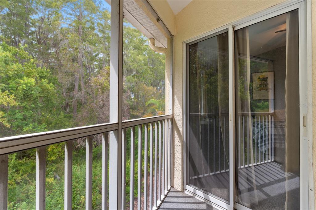 3452 Primrose Way Palm Harbor, FL 34683 - Photo 29 of 48