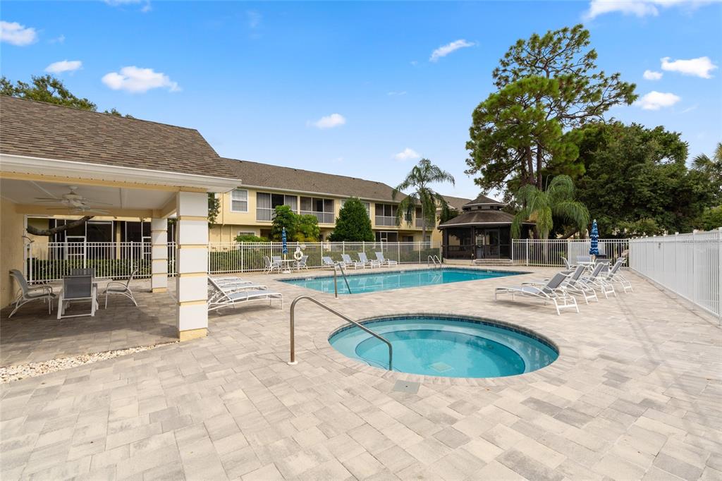 3452 Primrose Way Palm Harbor, FL 34683 - Photo 37 of 48