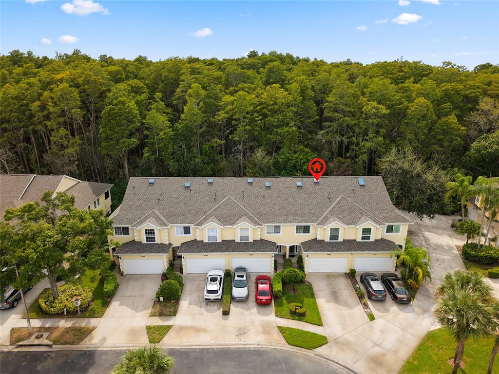 3452 Primrose Way Palm Harbor, FL 34683 - Photo 41 of 48