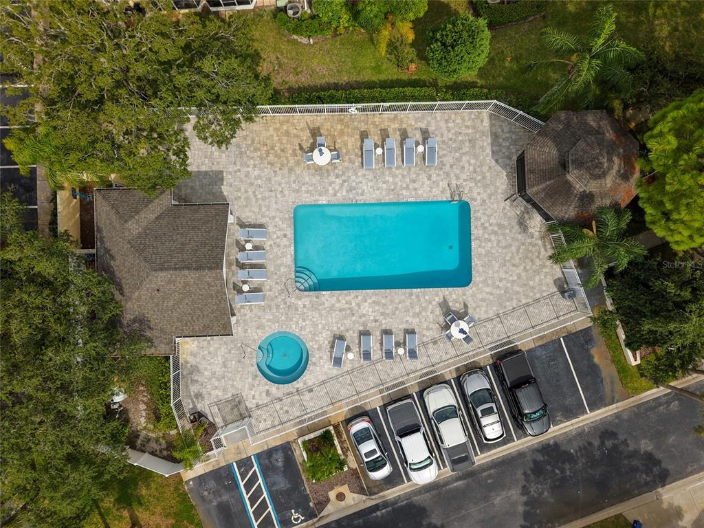 3452 Primrose Way Palm Harbor, FL 34683 - Photo 42 of 48