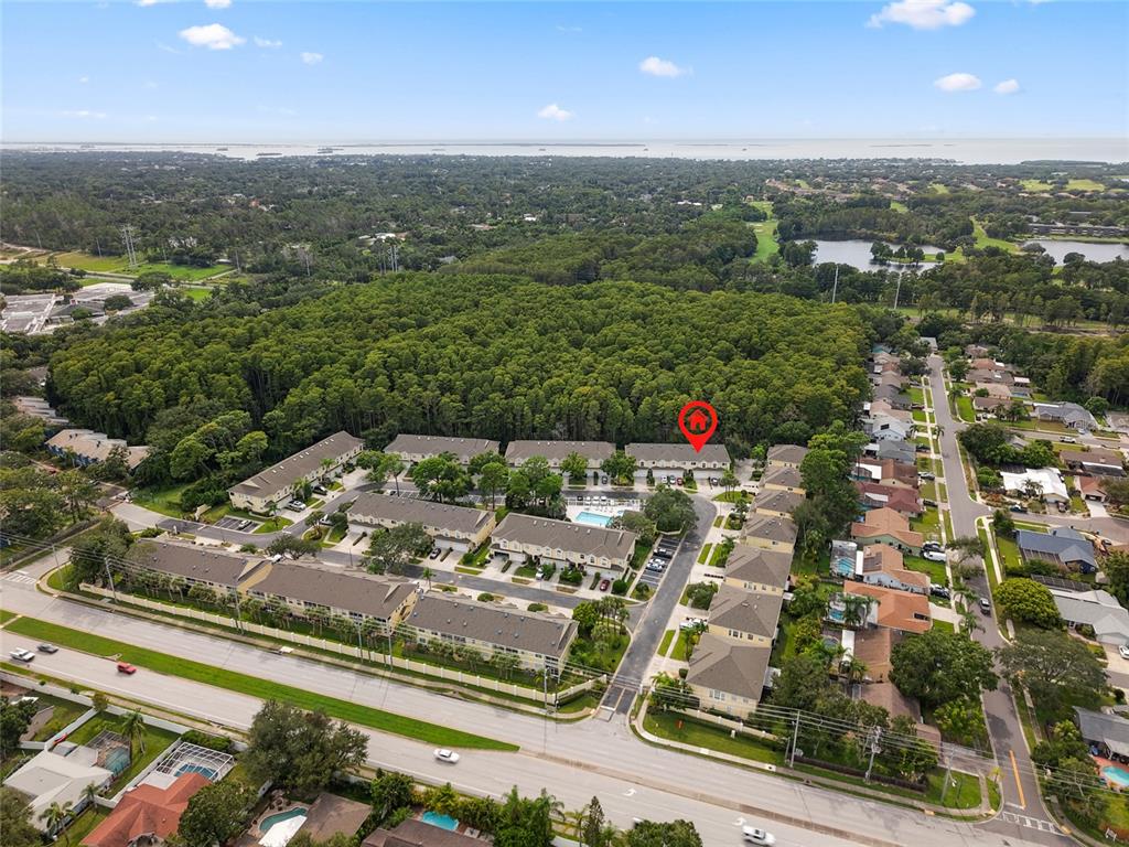3452 Primrose Way Palm Harbor, FL 34683 - Photo 43 of 48