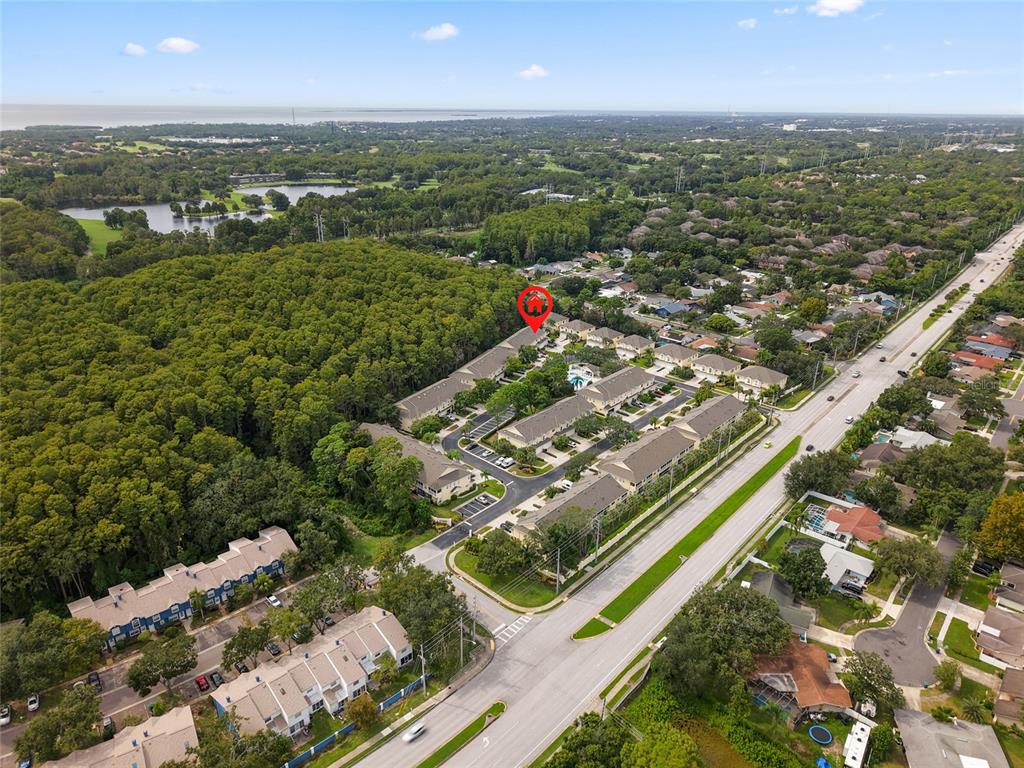 3452 Primrose Way Palm Harbor, FL 34683 - Photo 44 of 48