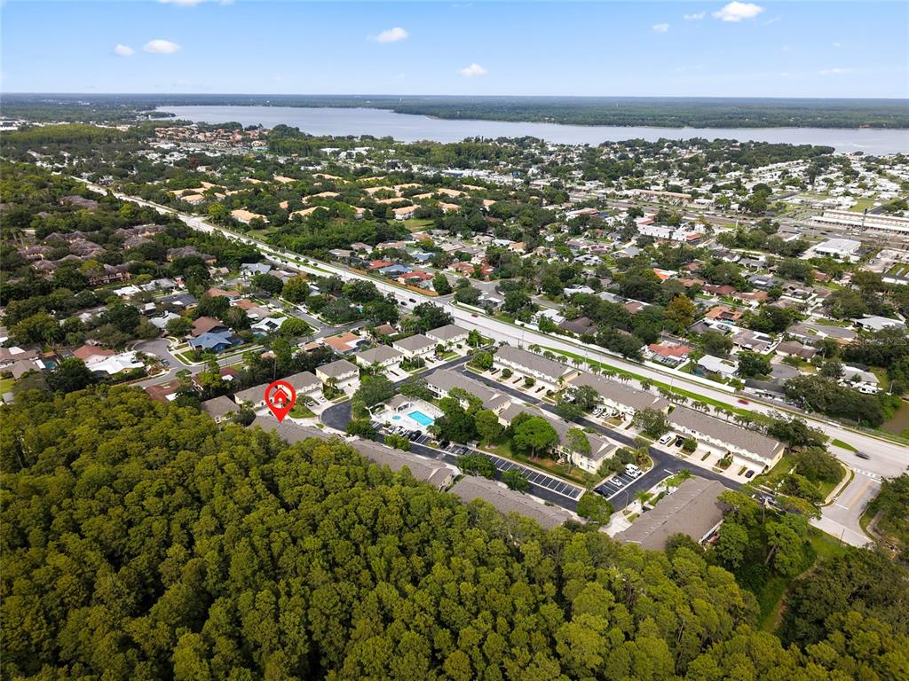 3452 Primrose Way Palm Harbor, FL 34683 - Photo 45 of 48