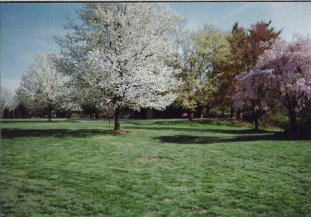 237 Dudley Road Edgewood, KY 41017 - Photo 30 of 30