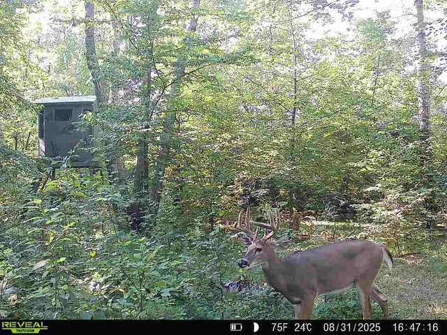 $599,900 | 50429 245th Avenue, Staples, MN 56479