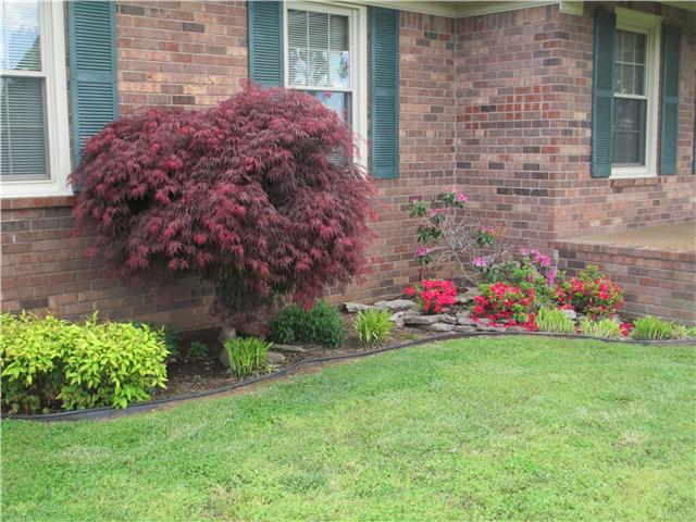 6528 West Trimble Road Milton, TN 37118 - Photo 18 of 19 Gallery Image 18