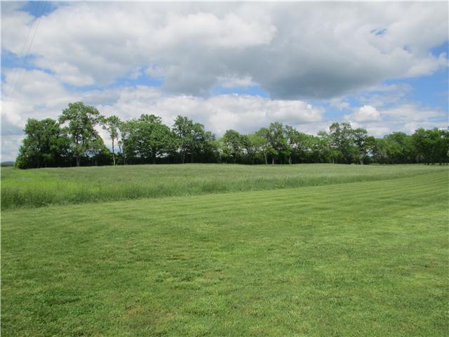 6528 West Trimble Road Milton, TN 37118 - Photo 3 of 19 Gallery Image 3