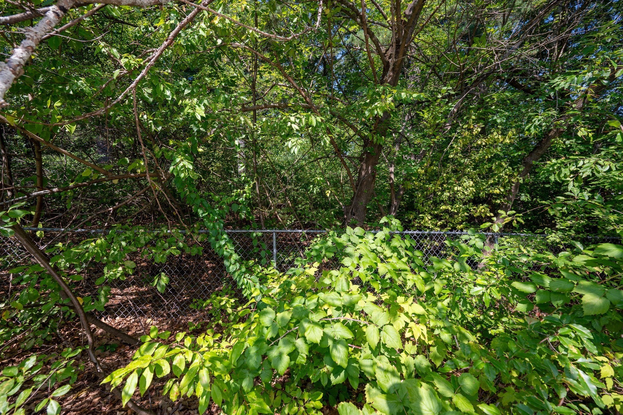 Lot 54 Beverly Road Billerica, MA 01821 - Photo 11 of 28 Gallery Image 11