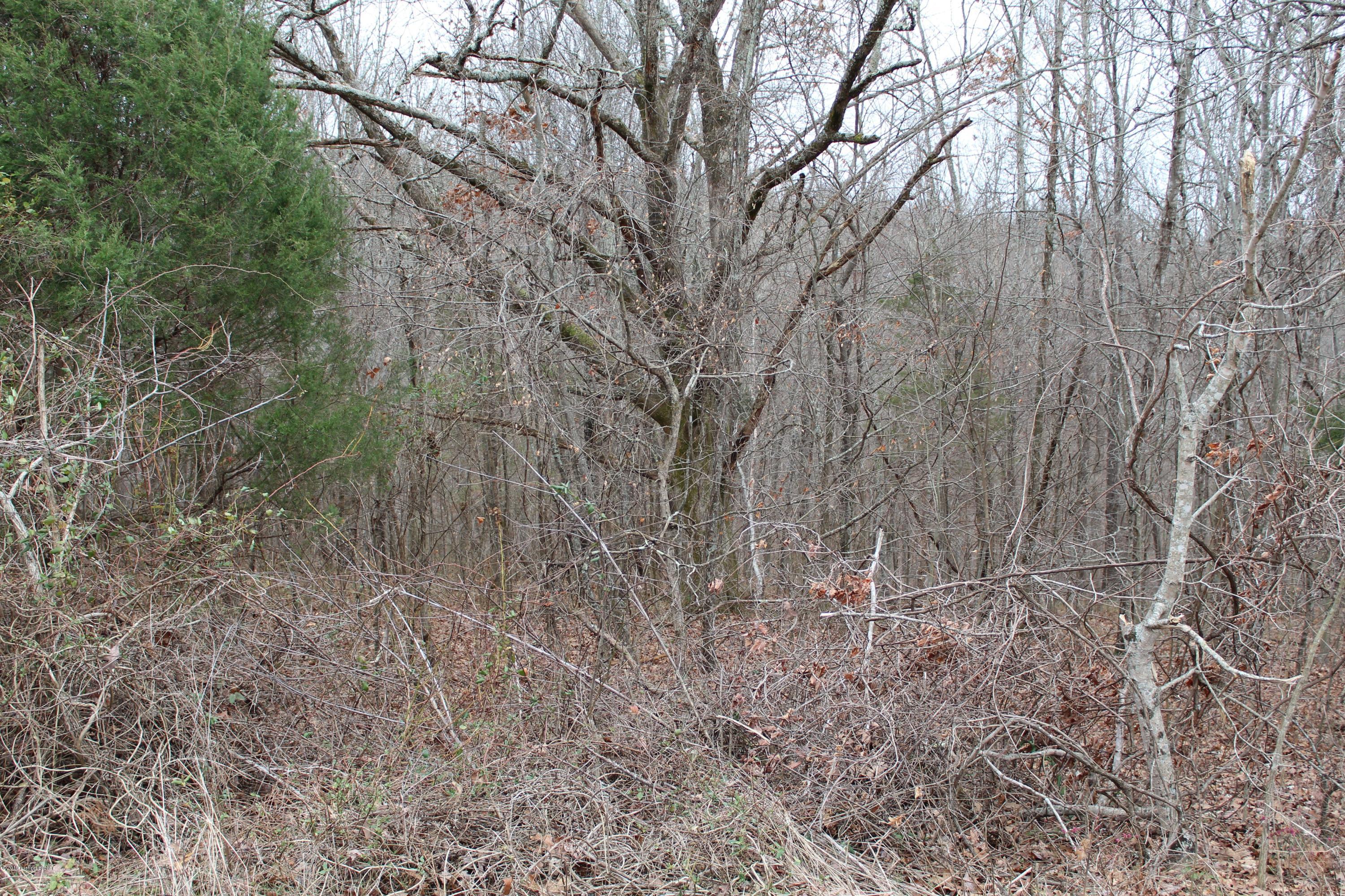 0 Charlie Huffman Road Clarkson, KY 42726 - Photo 2 of 5 IMG_1400