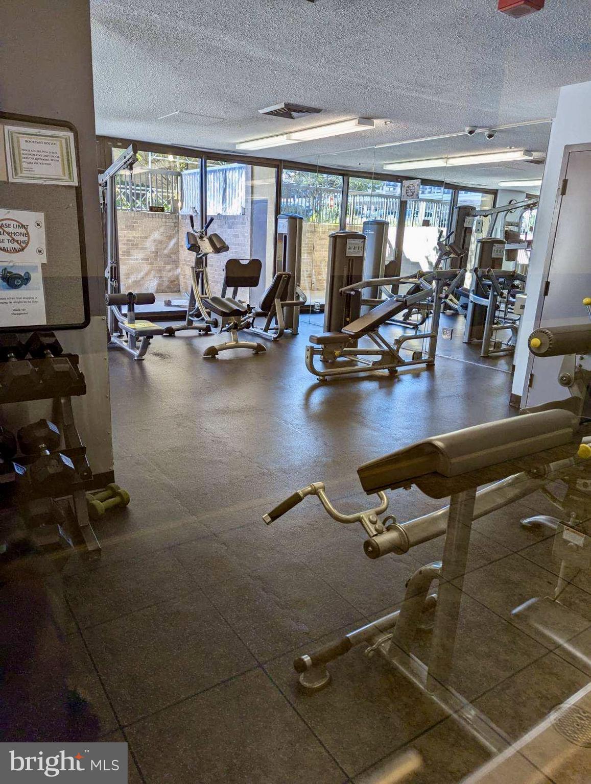5505 Seminary Road, Unit 1018N Falls Church, VA 22041 - Photo 34 of 36 Updated Gym