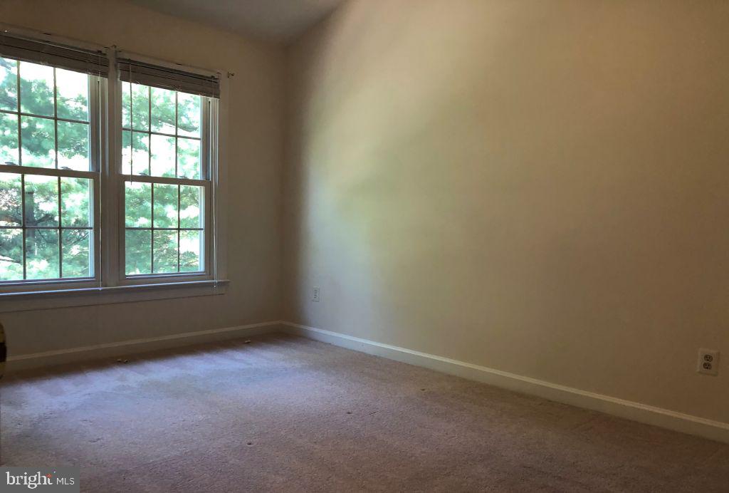 3610 Ransom Place Alexandria, VA 22306 - Photo 22 of 38 Gallery Image 22