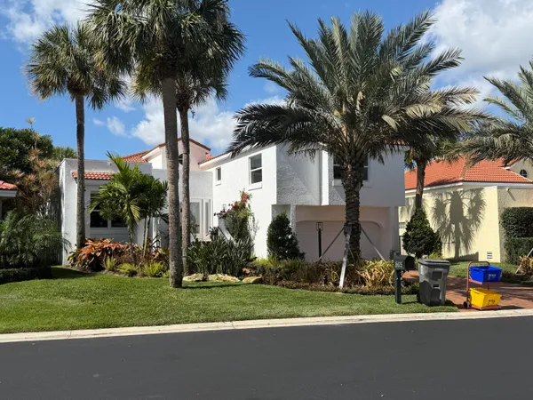a view of a park with palm trees