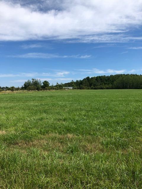 0 Townline Road Pellston, MI 49769 - Photo 1 of 13 Gallery Image 1