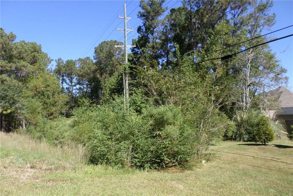 0 Military Road Pearl River, LA 70452 - Photo 4 of 9