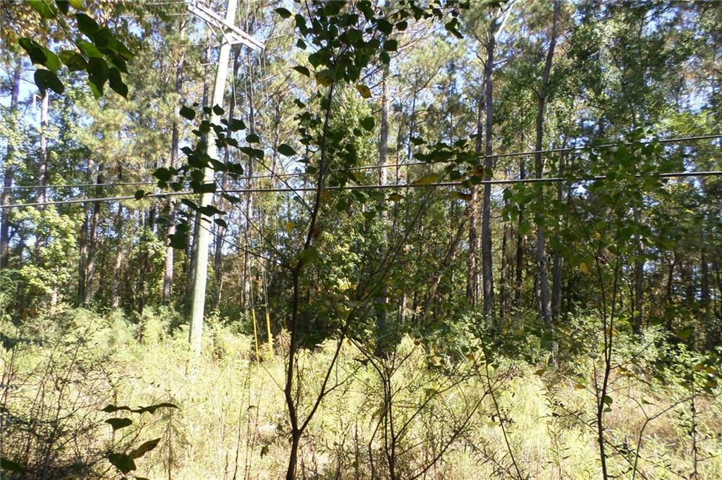 0 Military Road Pearl River, LA 70452 - Photo 8 of 9