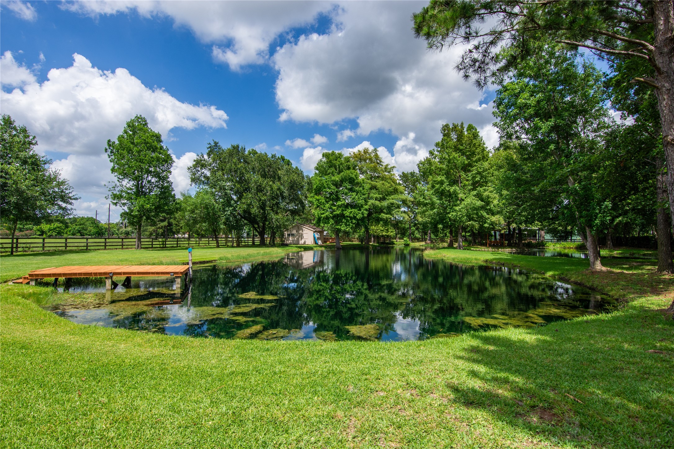 13914 Skinner Road Cypress, TX 77429 - Photo 48 of 50 Shaded pond surrounded by mature trees and open lawn, with a footbridge creating a quiet spot to enjoy the backyard.