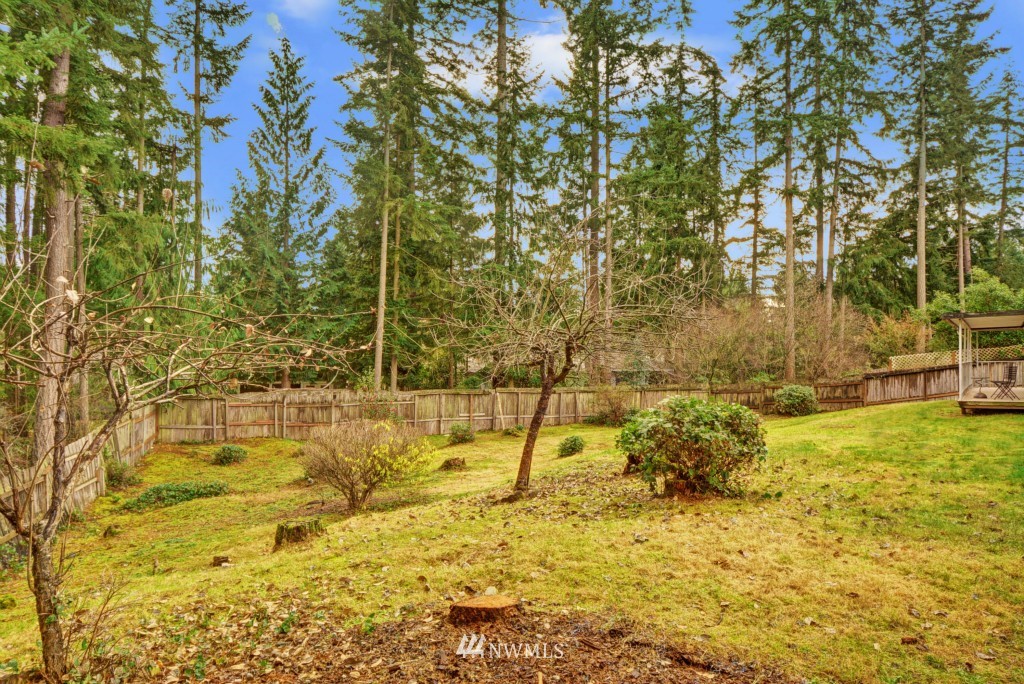 16135 Southeast 145th Place Renton, WA 98059 - Photo 20 of 21 Gallery Image 20