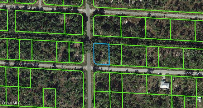 3465 Rhododendron Road Lake Placid, FL 33852 - Photo 1 of 1 3465 RHODODENDRON RD
