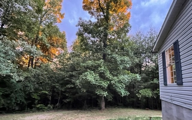 612 Grape Creek Road Murphy, NC 28906 - Photo 18 of 18 Additional View