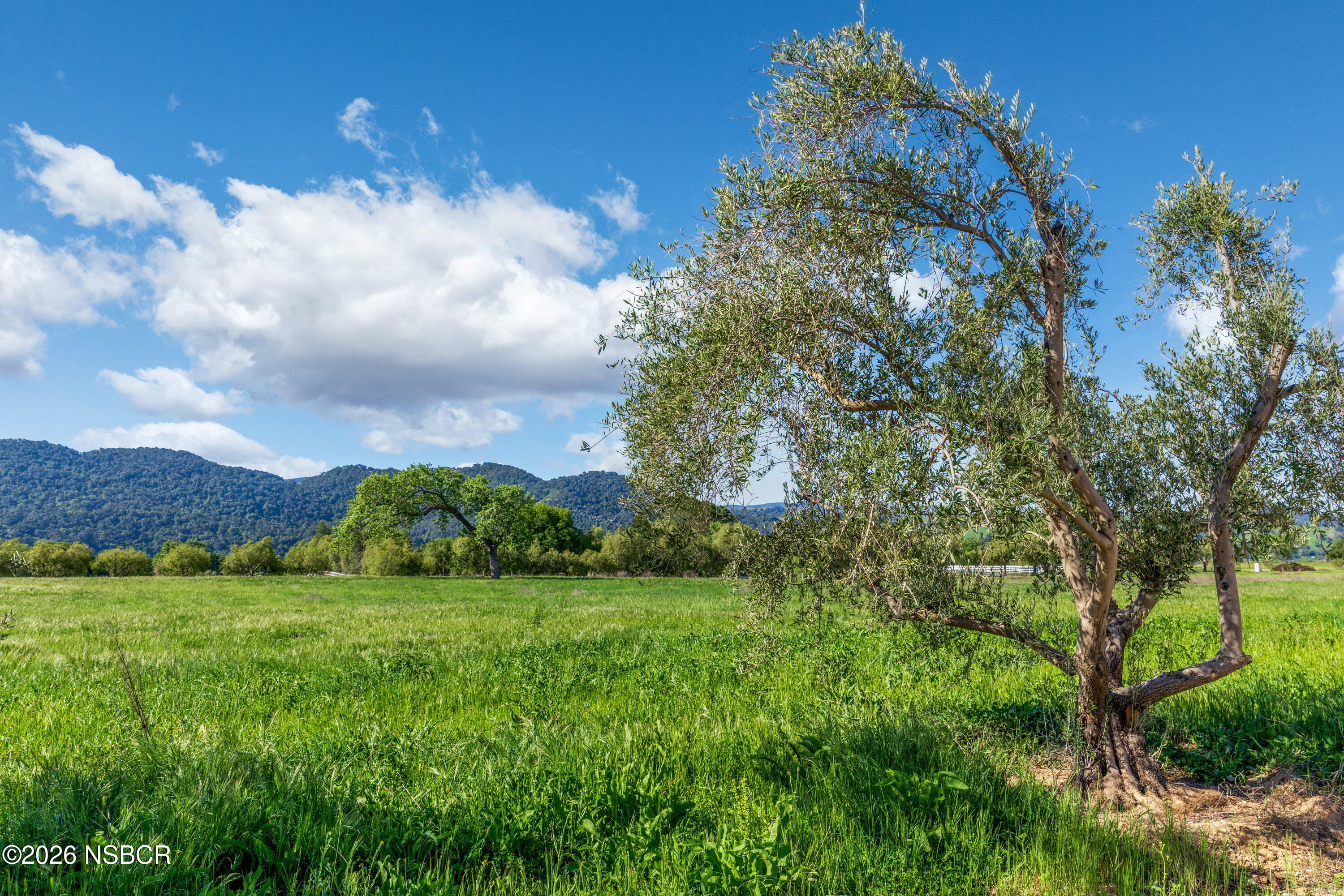 White Oak Road Santa Ynez, CA 93460 - Photo 6 of 13 0 White Oak Rd Web-17