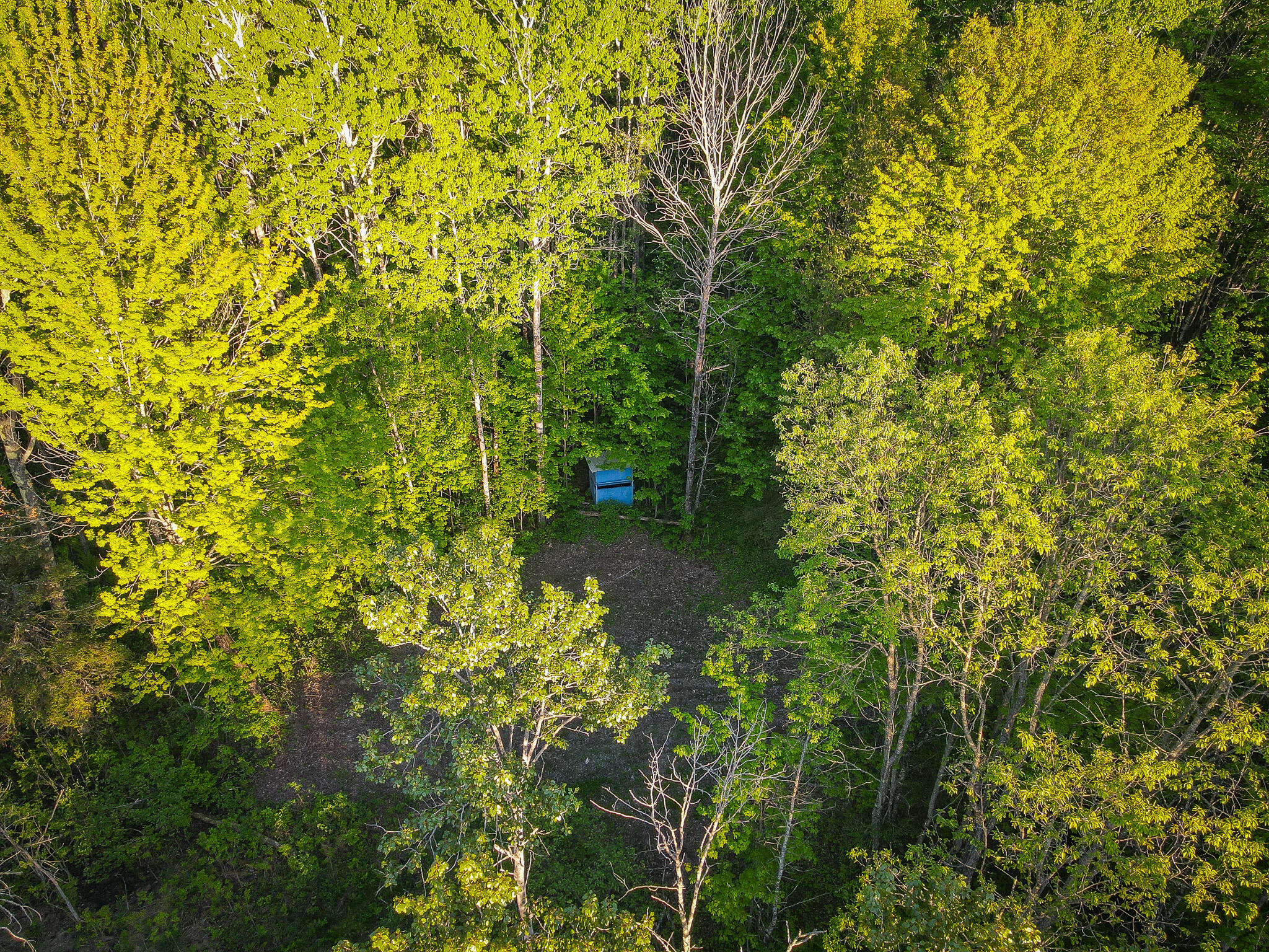 V/l V/l 33rd Road Perkins, MI 49872 - Photo 10 of 70 DJI_0165