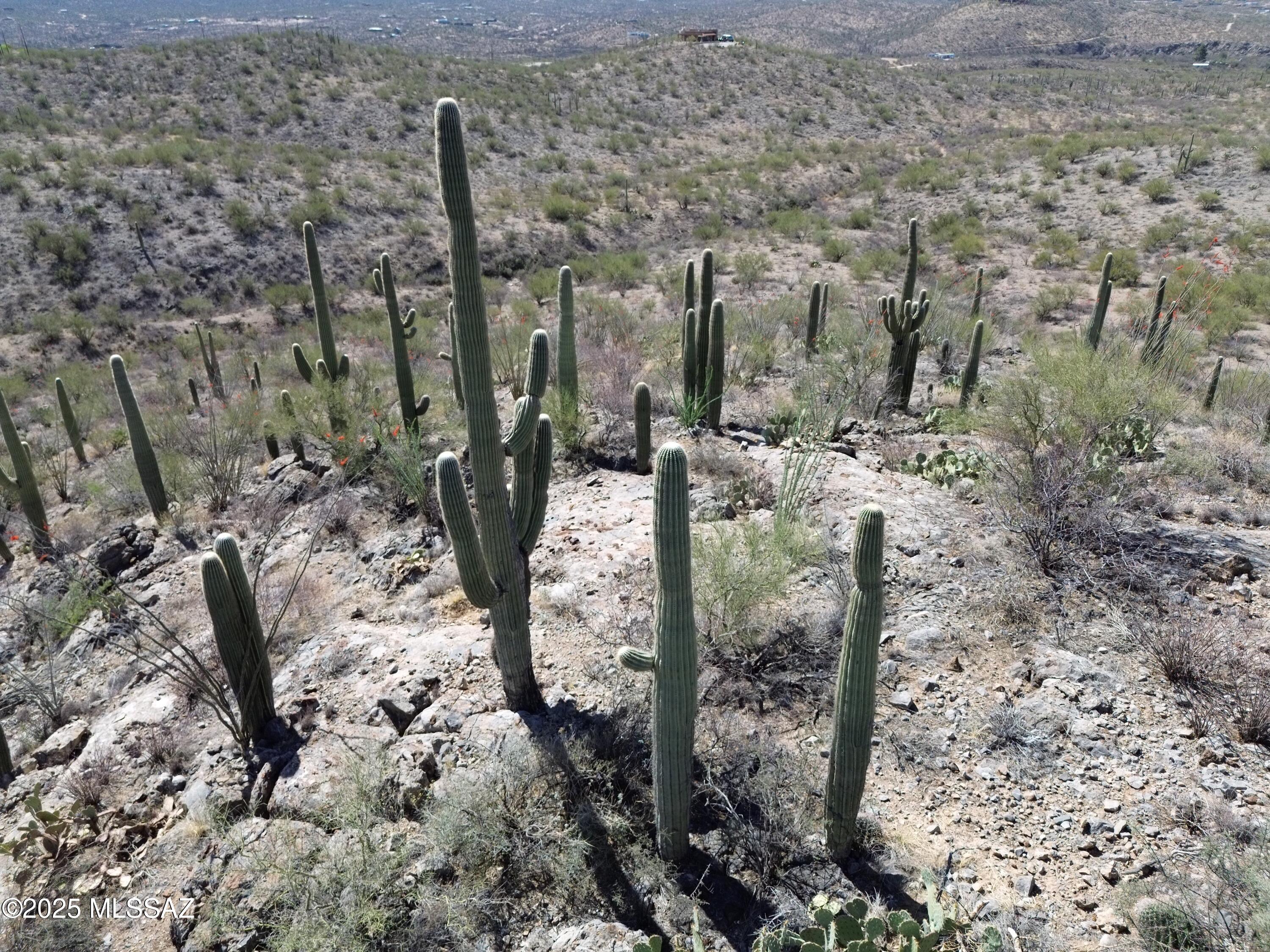 East Rincon Creek Ranch Road Tucson, AZ 85747 - Photo 1 of 5