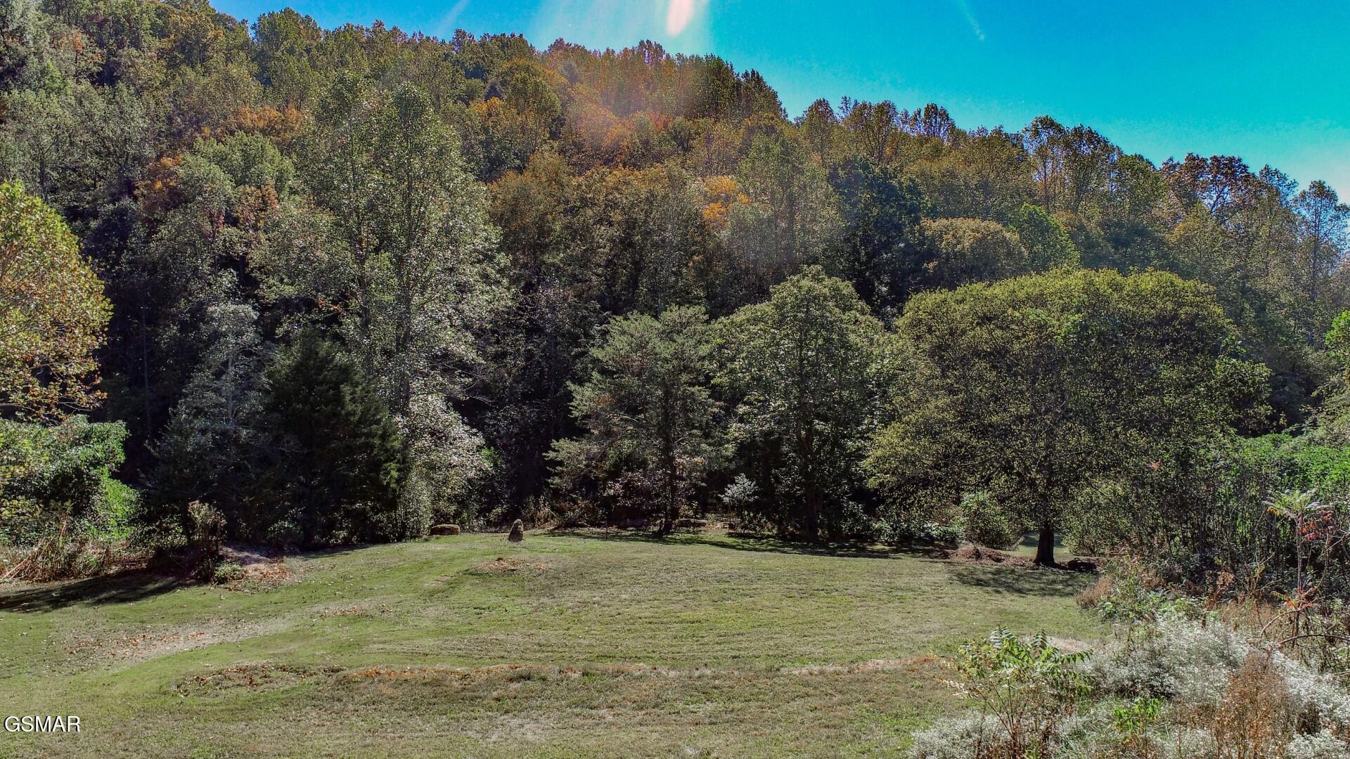 2409 Perilla Road Cosby, TN 37722 - Photo 15 of 50 Gallery Image 15
