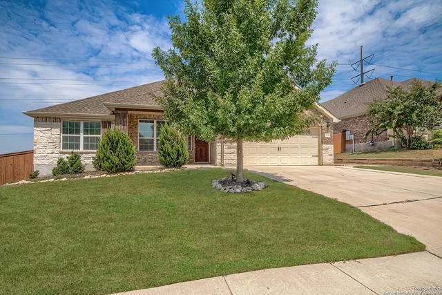 a backyard of a house with plants and large tree