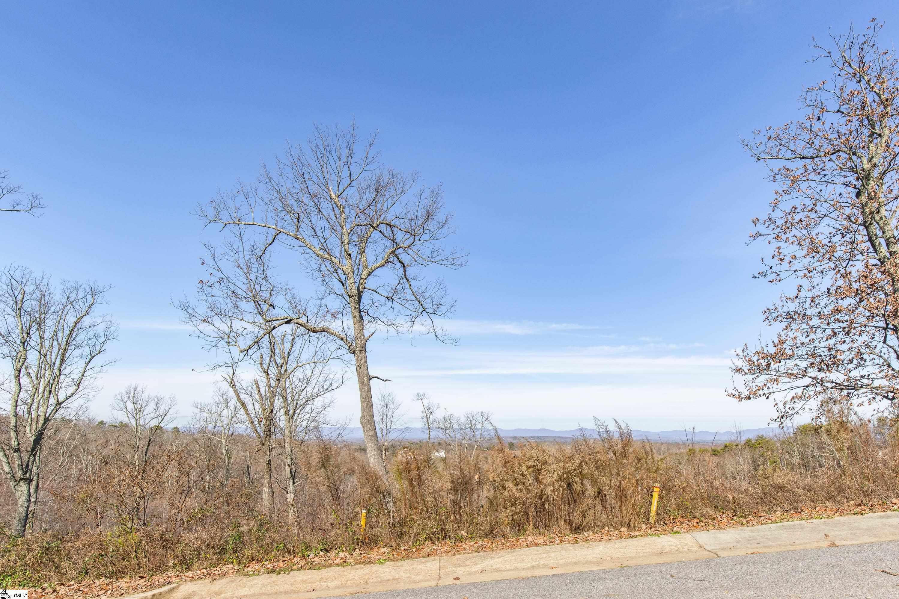 12 Ridely Piper Lane Greenville, SC 29609 - Photo 12 of 26 Gallery Image 12