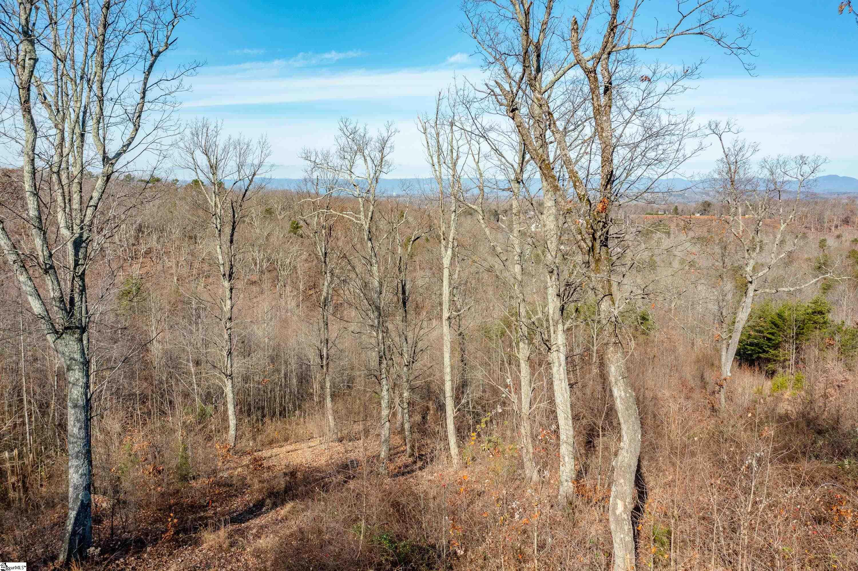 12 Ridely Piper Lane Greenville, SC 29609 - Photo 8 of 26 Gallery Image 8