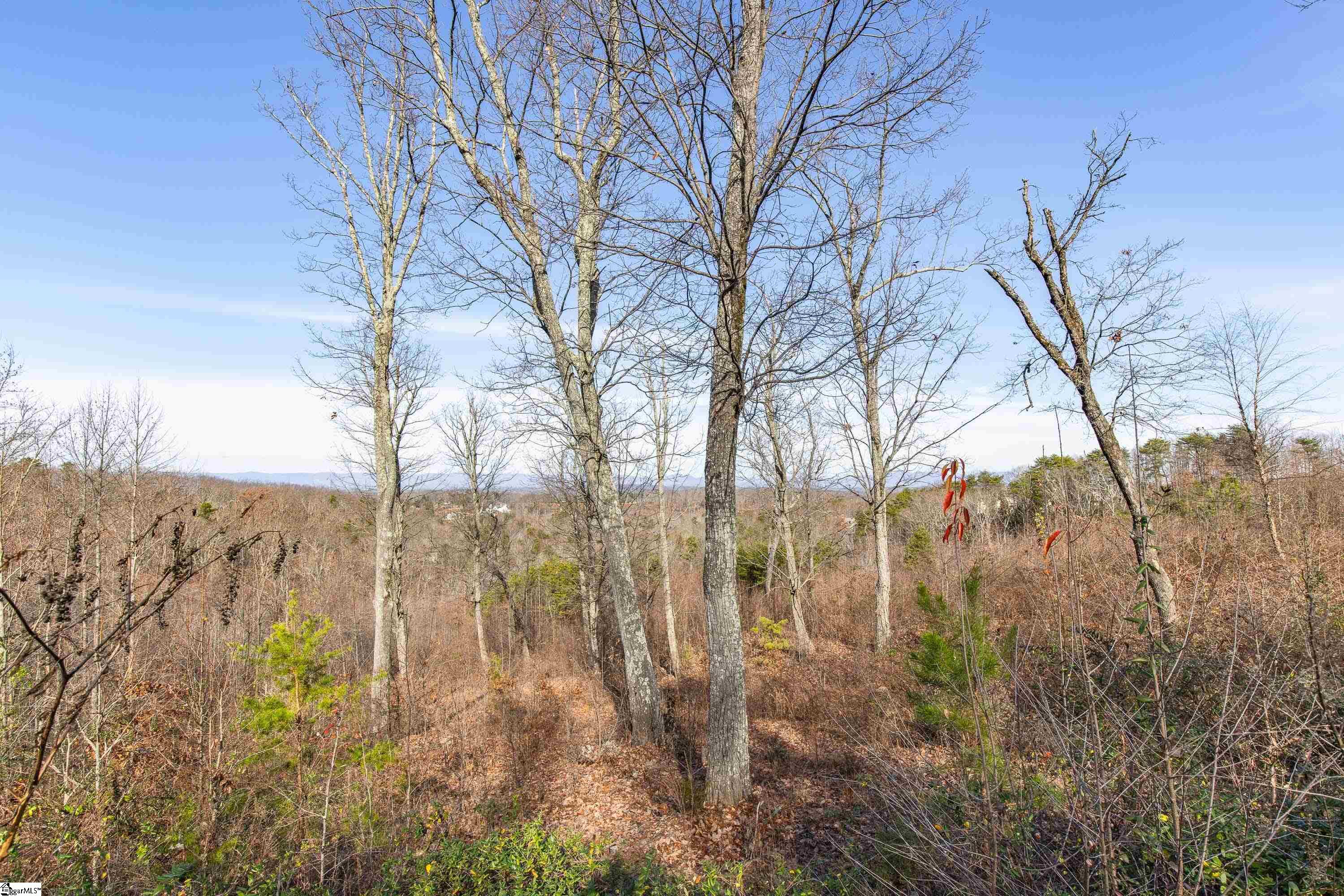 12 Ridely Piper Lane Greenville, SC 29609 - Photo 9 of 26 Gallery Image 9