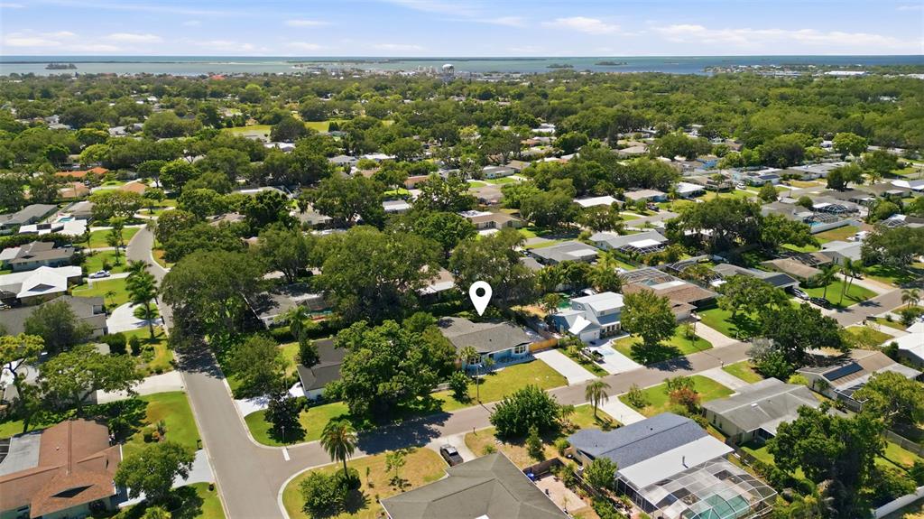2310 Harrison Drive Dunedin, FL 34698 - Photo 44 of 46