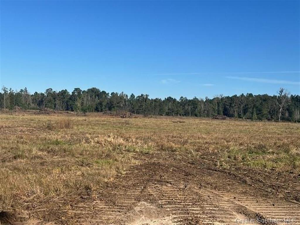 0 Conway Rosteet Road Longville, LA 70652 - Photo 1 of 19