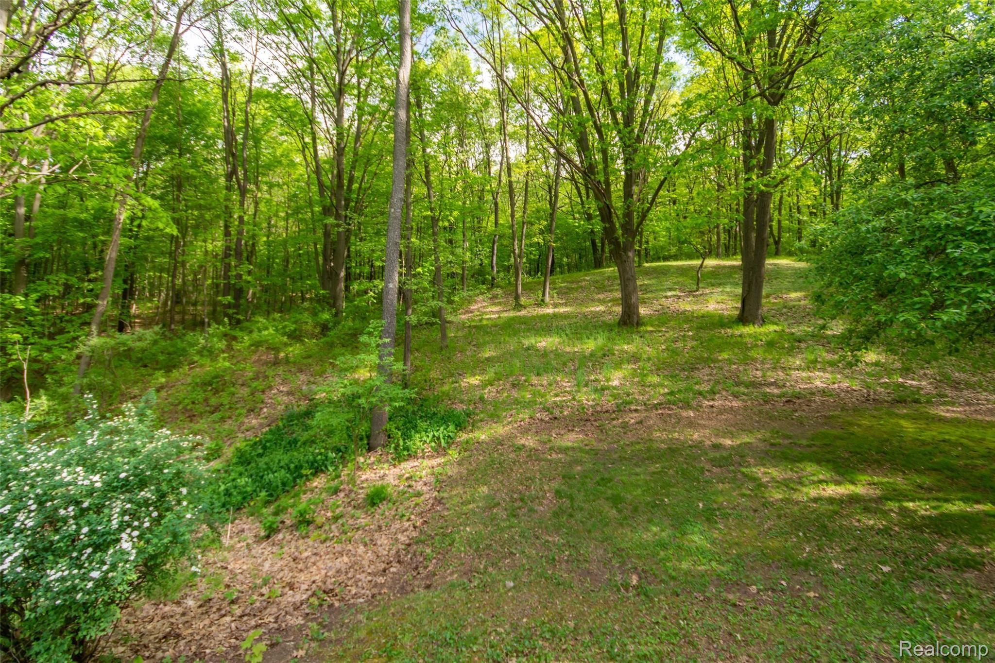 6835 Ridgewood Road Clarkston, MI 48346 - Photo 20 of 21 DSC_5822.jpg