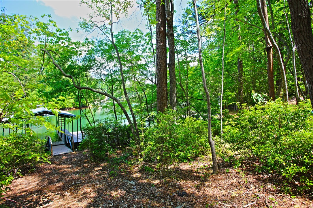 Lot 114 Harbor Point Seneca, SC 29672 - Photo 29 of 46 This serene lakefront property offers direct water access and a private boat dock amidst lush greenery.