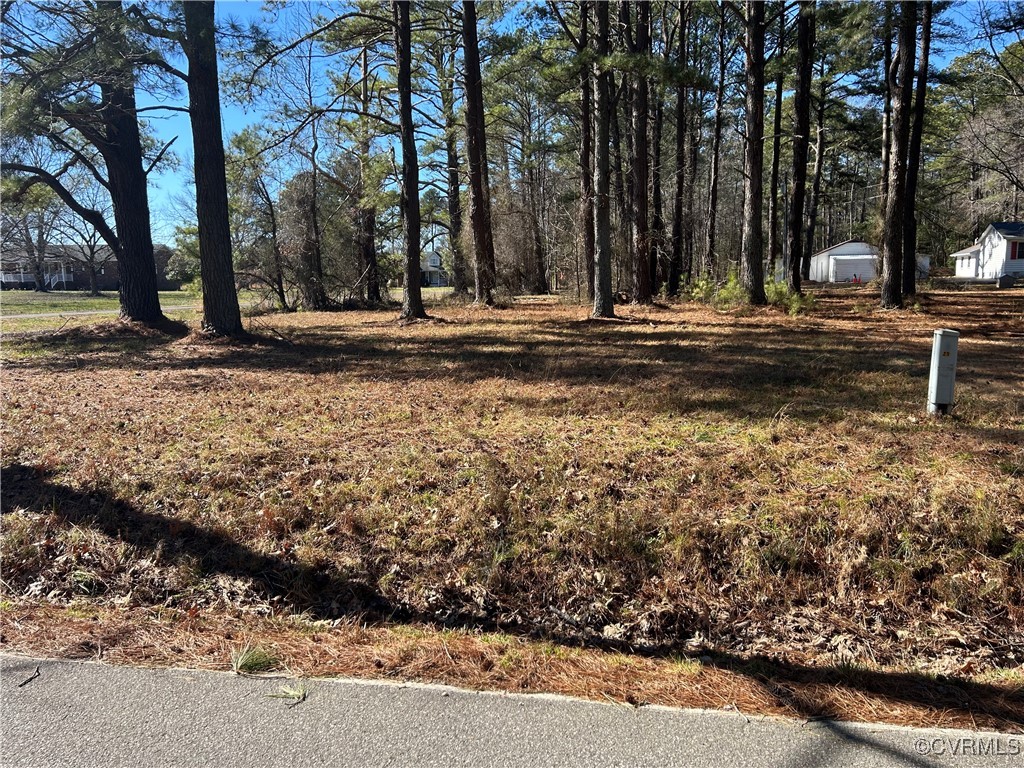 8844 Varina Road Henrico, VA 23231 - Photo 1 of 5 50 foot right of way from Varina Rd. Driveway need