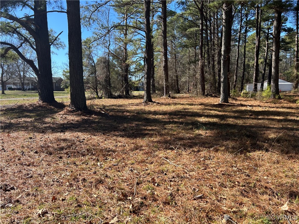8844 Varina Road Henrico, VA 23231 - Photo 4 of 5 50 ft wide right of way. No driveway yet.